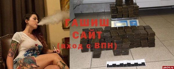 индика Алексин