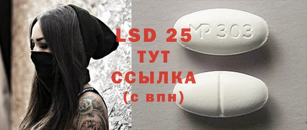 индика Алексин