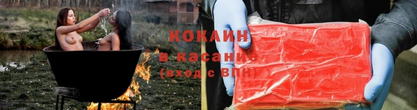 индика Алексин