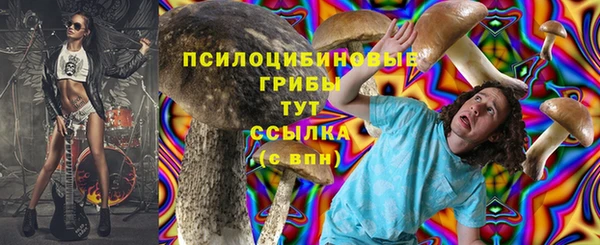 стафф Алексеевка