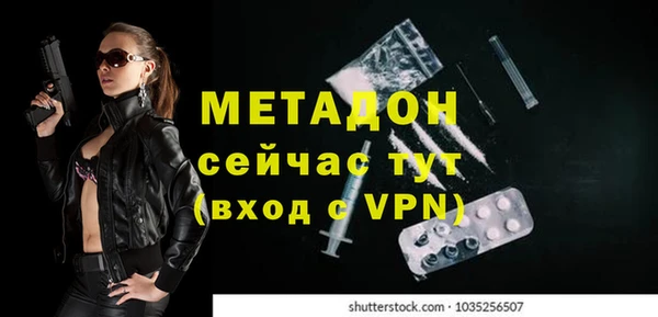 индика Алексин