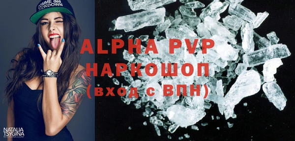 индика Алексин