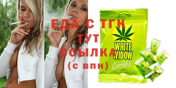 индика Алексин