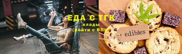индика Алексин