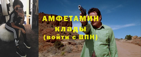 индика Алексин